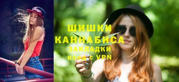 шишки Беломорск