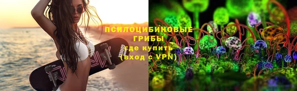 шишки Белокуриха