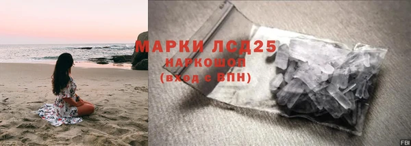 шишки Беломорск