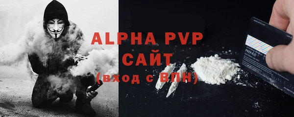 шишки Белокуриха