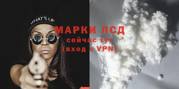 шишки Беломорск