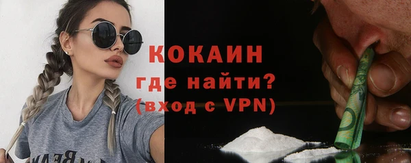 шишки Беломорск