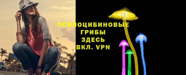 PSILOCYBIN Белоозёрский