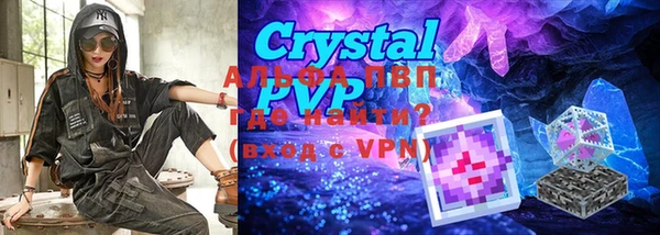 шишки Белокуриха