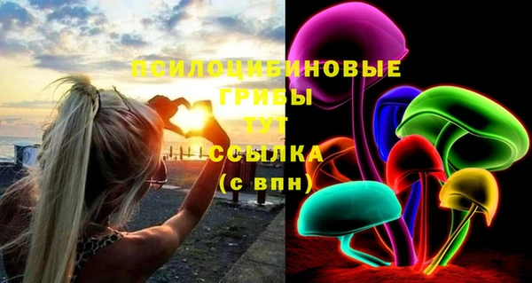 PSILOCYBIN Белоозёрский