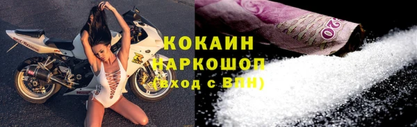 шишки Беломорск
