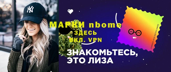 шишки Белокуриха