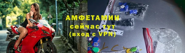 шишки Беломорск